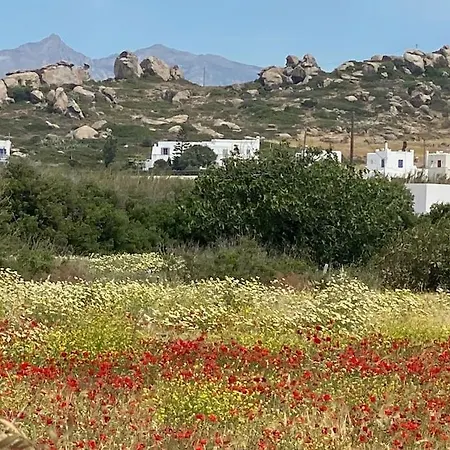 2 Naxos *